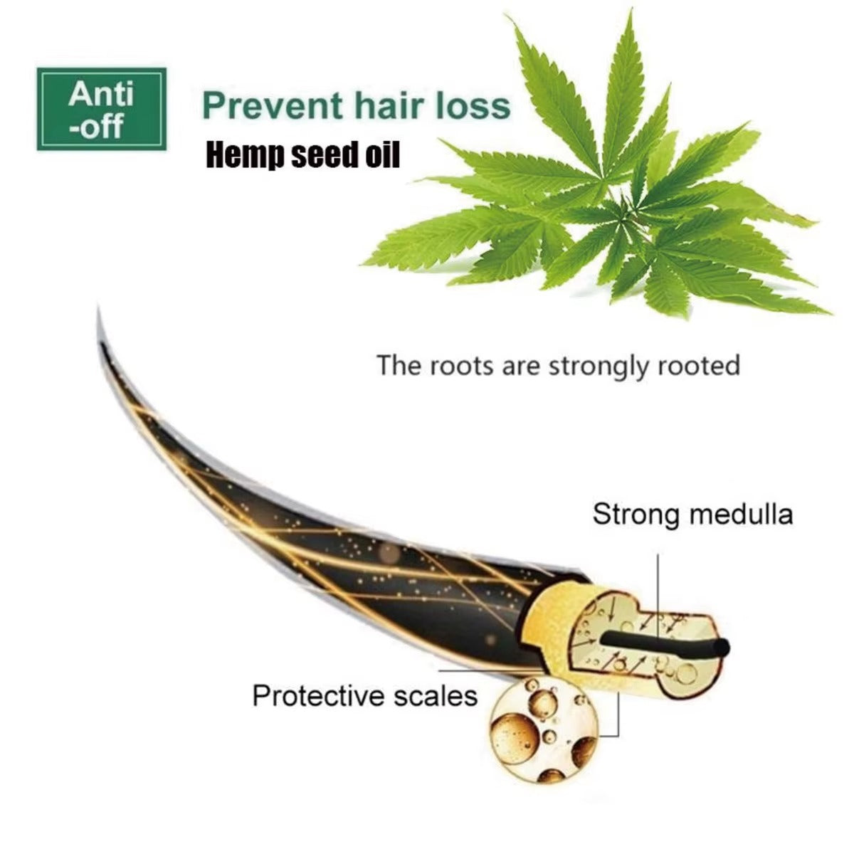 Aichun Beauty Fast Beard Growth Oil – 30ml